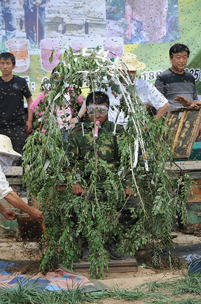 Bee suit: Zhang Wei has the bees released onto his special frame