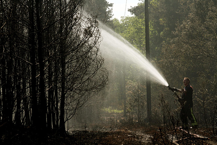 Wild fires: Firefighters try to contain a fire in forests near Crowthorne, Berkshire