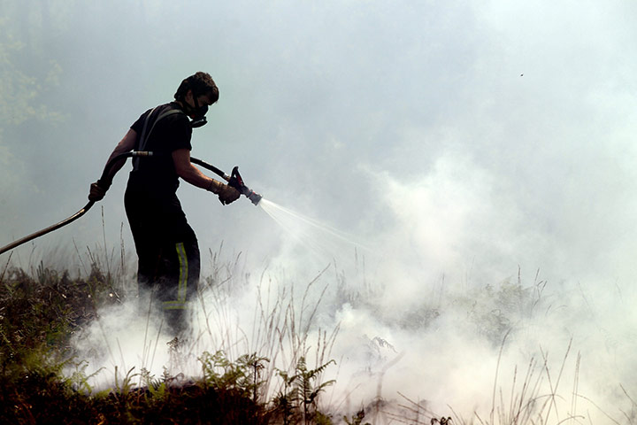 Wild fires: A firefighter damps down smouldering undergrowth in Swinley Forest 