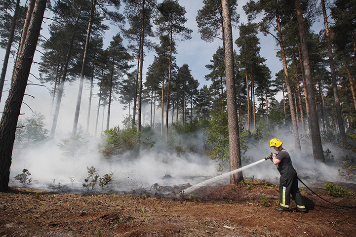 Wild fires: A firefighter damps down smouldering undergrowth in Swinley Forest
