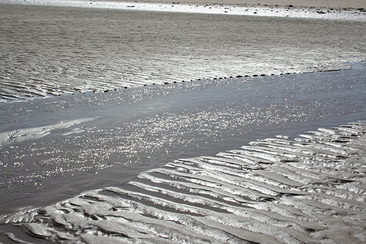 In pictures: Metallic: Katie Cullinane