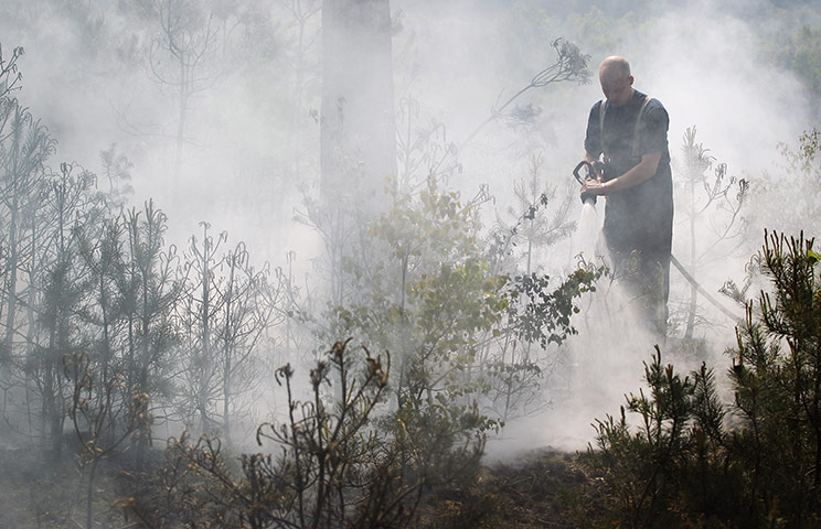 Wild fires: A firefighter damps down smouldering undergrowth in Swinley Forest 