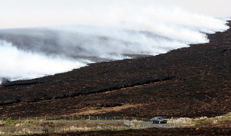Wild fires: A motorist in the hills above Loughguile Co Antrim, heathland is ablaze
