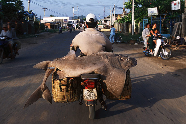 Travel Photographer Comp: Travel Photoragpher of the Year Competition