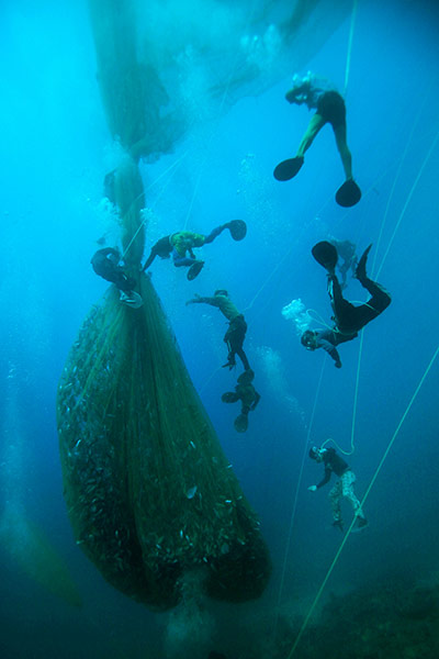 Travel Photographer Comp: Travel Photographeer of the Year Competition