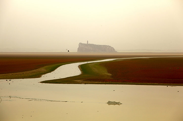 24 hours in pictures: drought in Poyang Lake, China