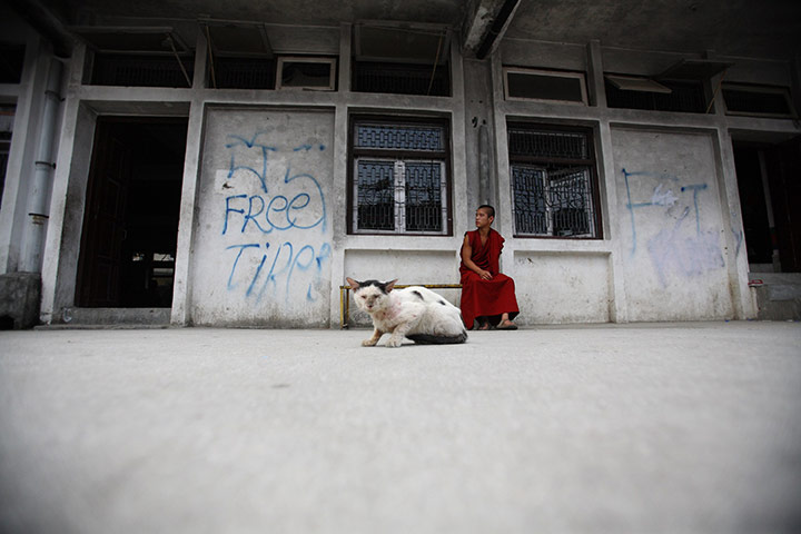 24 hours in pictures: A Tibetan monk during a 24-hour hunger strike