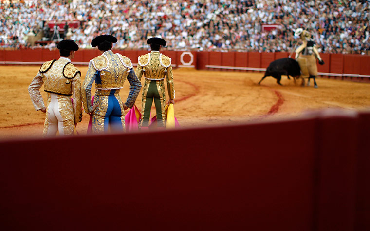 24 hours in pictures: Spanish matadors watch during a bullfight in Seville