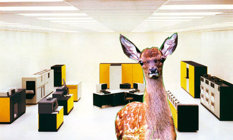 Photograph: Courtesy Adam Curtis