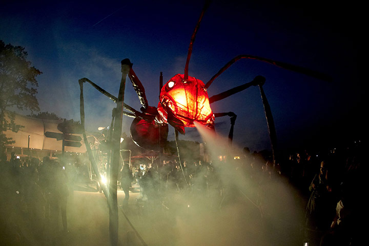 24 Hours in Pictures: Insect Art