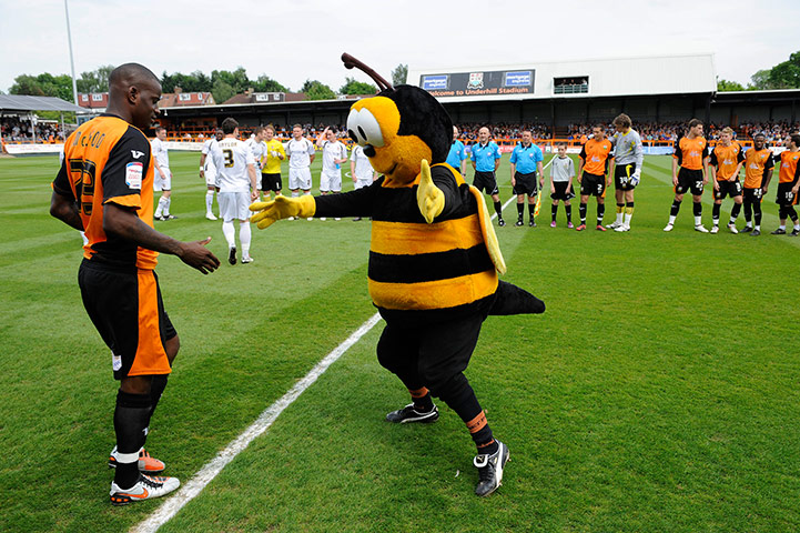 Barnet v Port Vale: Barnet's mascot, Mr Bumble, welcomes Izale McLeod onto the pitch