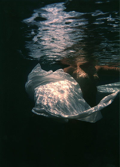 Artist Lisa Gunn: Liquid State by Lisa Gunn