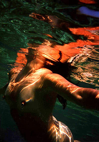 Artist Lisa Gunn: Freedom by Lisa Gunn