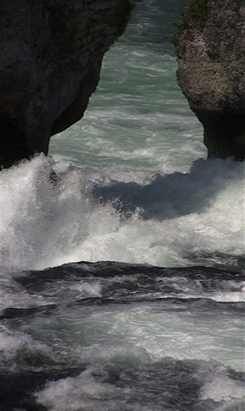 Artist Lisa Gunn: Aqueous Exhileration by Lisa Gunn