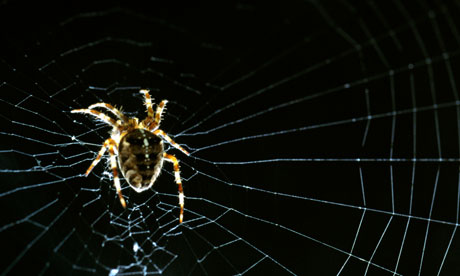 Digital overload? We explain how not to get caught in the net