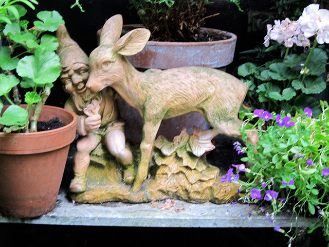 week in pics: Blake: garden gnome