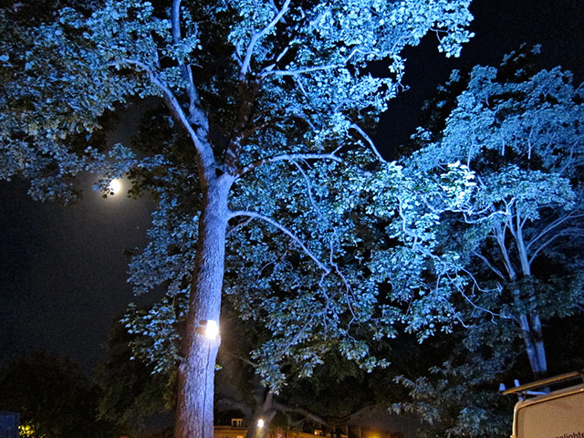 week in pics: Blake: Night sky in Bath