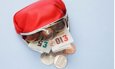 purse cash notes coins