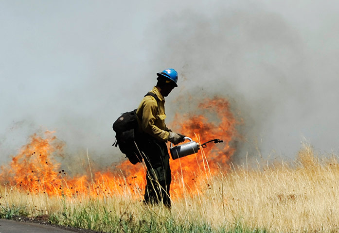 Arizona Wildfire: A Firefighter starts a backburn operation