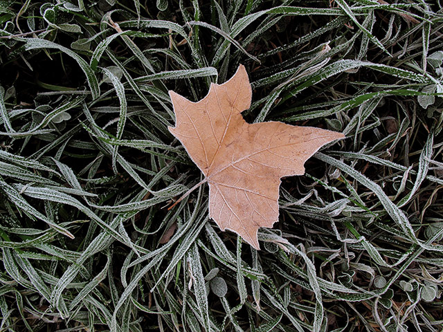 Week in Wildlife: World Environment Day