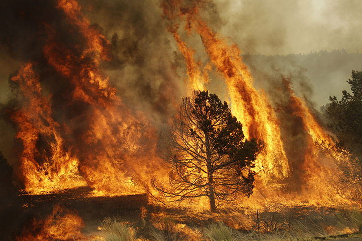 24 Hours in Pix: Wildfire