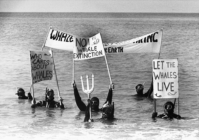 Friends of the Earth: Demonstration Against Whaling, Brighton, 1990