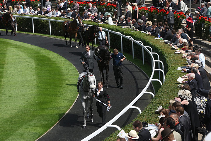ascot2: Horse Racing - The Royal Ascot Meeting 2011 - Day One - Ascot Racecourse