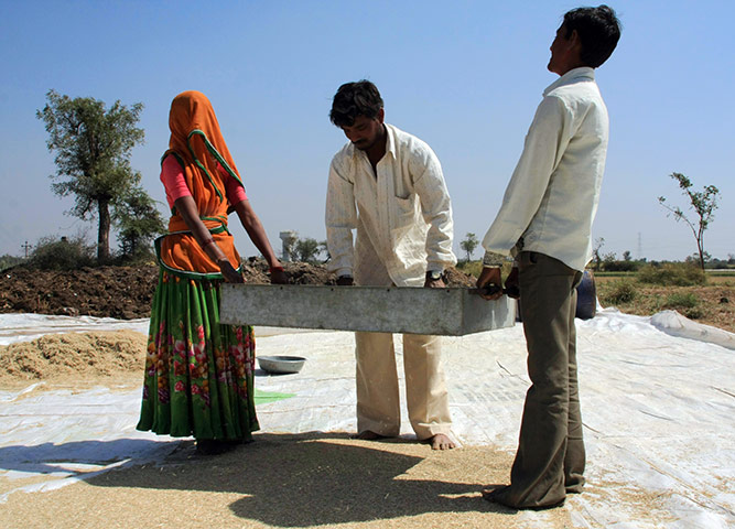 Ashden Awards: International finalists 2011 : Abellon CleanEnergy Ltd Gujarat, India
