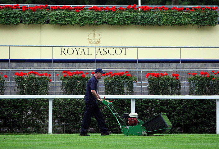 Ascot day three: The parade ring grass gets cut ahead of day 3 of Royal Ascot