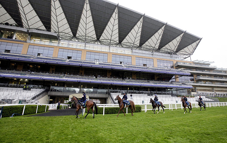 Ascot day three: Horses return from morning gallops as the rain starts to fall
