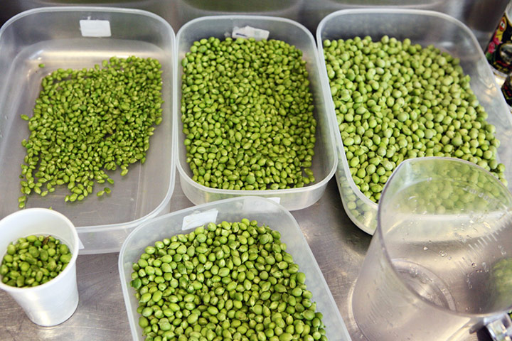 El Bulli: Peas