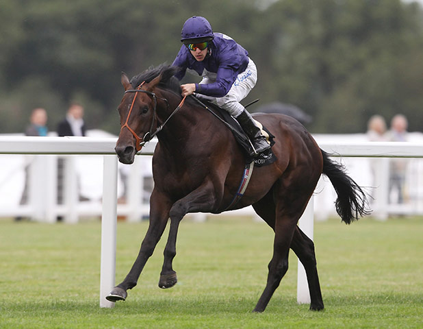 ascot update: Ascot Racing