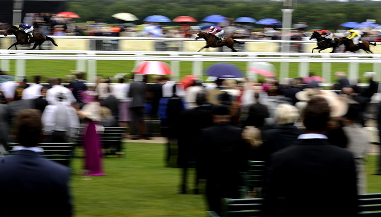 ascot update: Royal Ascot - Day Three