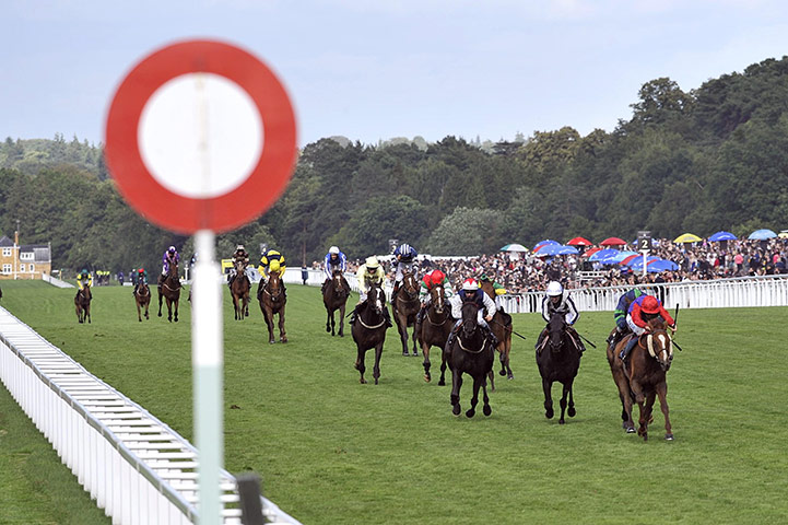 Ascot day 5: Swingkeel ridden by Ted Durcan goes clear to win the Queen Alexandra Stakes