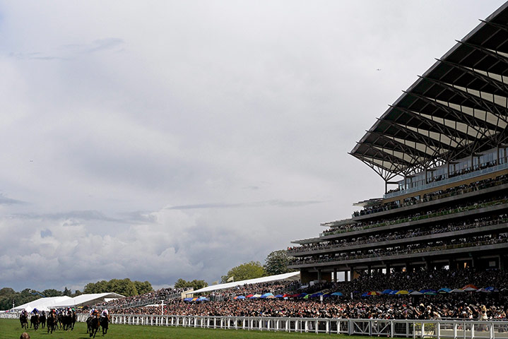 Ascot day 5: The field of the Hardwick Stakes thunders past the grandstand