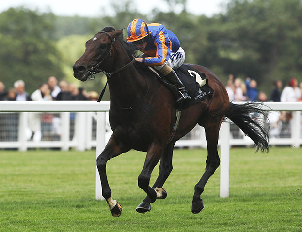 Ascot day 5: Await The Dawn ridden by Ryan Moore wins the Hardwicke Stakes
