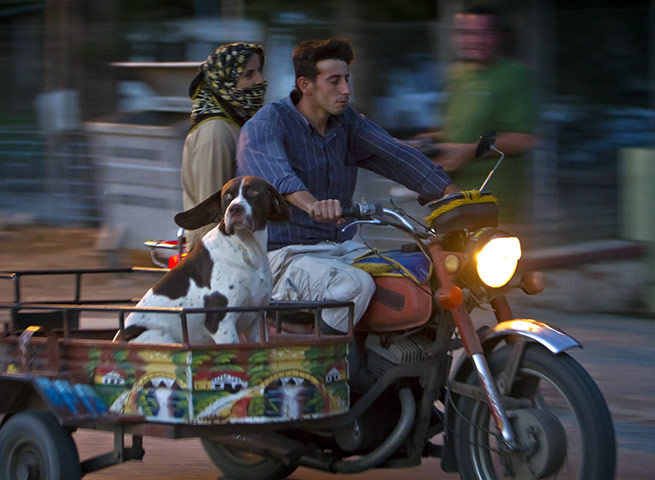 24 hours in pictures: couple and a dog on a motorcycle Yayladagi, Turkey 