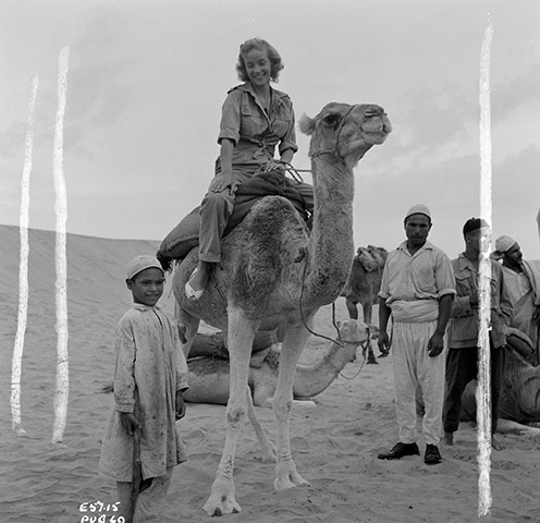 Ice Cold in Alex: Ice Cold in Alex