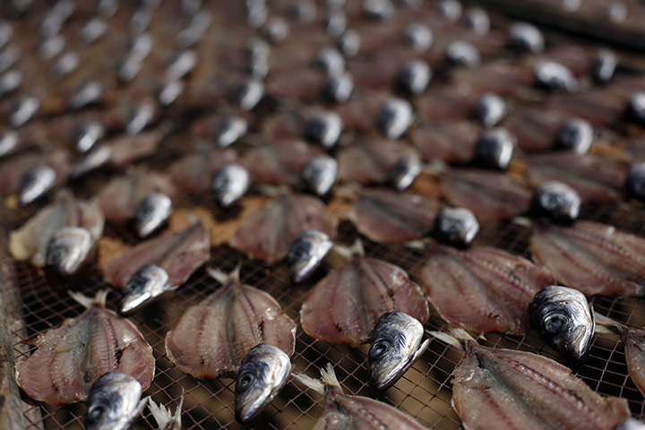 24 hours in pictures: Salted fish are placed out to dry at a beach in Nazare