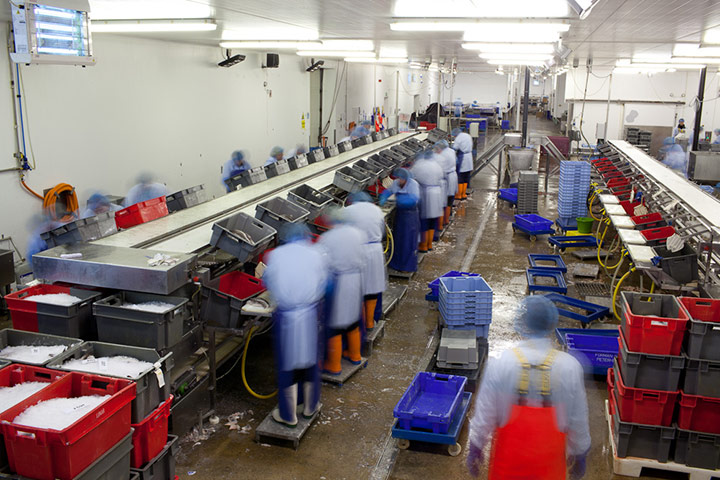 OCEAN2012: European Fish Week Photo Exhibition at London Zoo