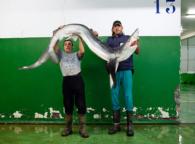 OCEAN2012: European Fish Week Photo Exhibition at London Zoo