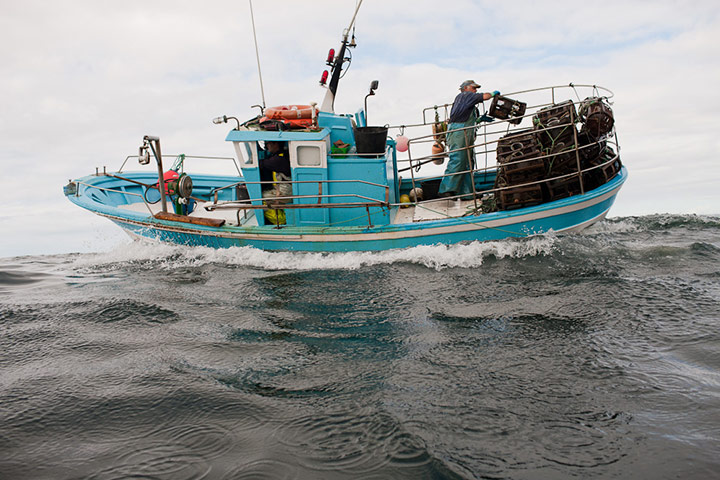 OCEAN2012: European Fish Week Photo Exhibition at London Zoo