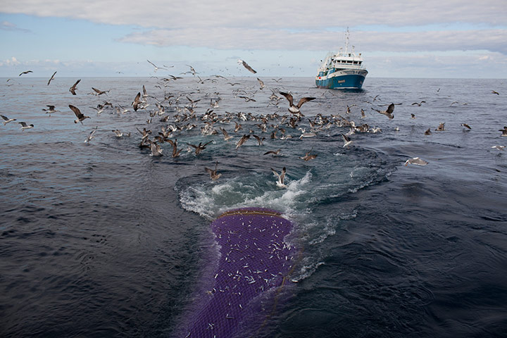 OCEAN2012: European Fish Week Photo Exhibition at London Zoo