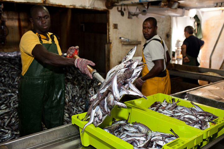 OCEAN2012: European Fish Week Photo Exhibition at London Zoo
