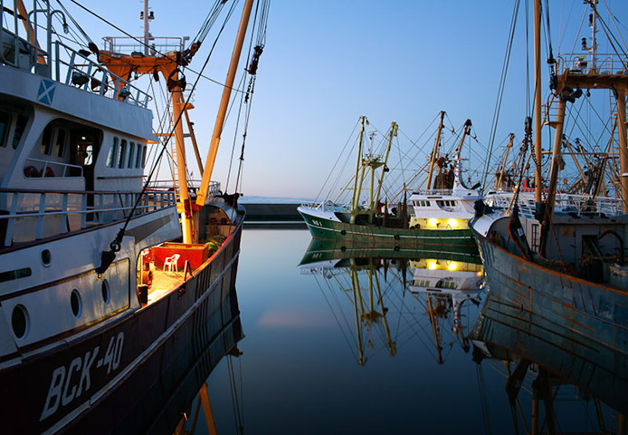 OCEAN2012: European Fish Week Photo Exhibition at London Zoo