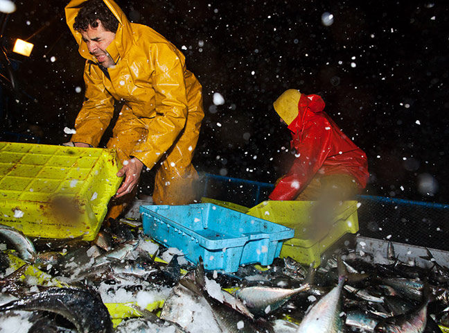 OCEAN2012: European Fish Week Photo Exhibition at London Zoo