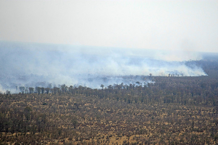okavango : Okavango aerial survey