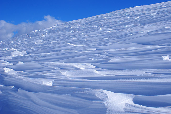 Value of Nature: Flickr group