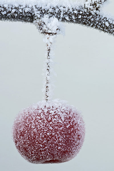 Value of Nature: Flickr group