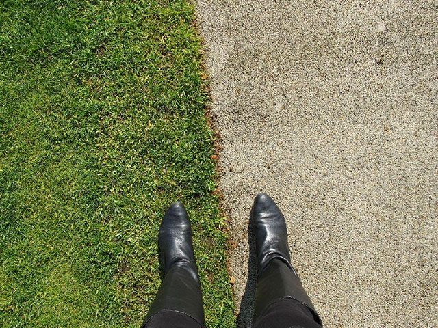 Value of Nature: Flickr group